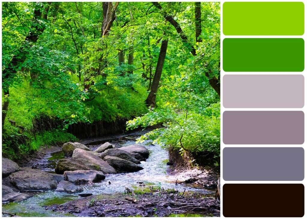 Embracing the Beauty of Nature Incorporating Natural Color Palettes in Your Designs